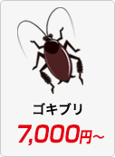 ゴキブリ駆除 7,000円〜