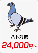 ハト対策 24,000円〜