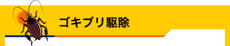 ゴキブリ駆除