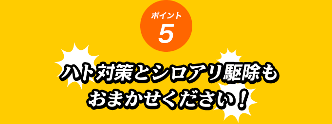 ポイント5 ハト対策とシロアリ駆除もおまかせください！